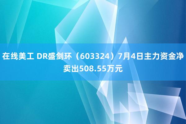 在线美工 DR盛剑环（603324）7月4日主力资金净卖出508.55万元