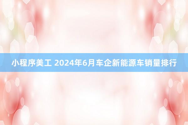 小程序美工 2024年6月车企新能源车销量排行